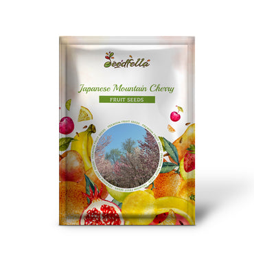 Japanese Mountain Cherry (Prunus serrulata spontanea) Hill Cherry Tree Seeds with Pink & White Flowers and Red Fruit