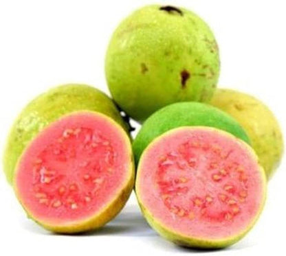 Guava Seeds for Planting Psidium Guajava for Tropical Gardens