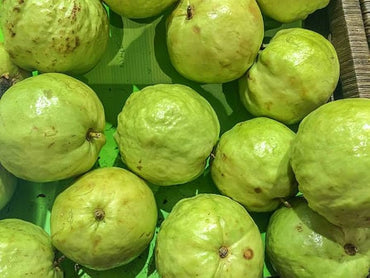 Guava Psidium Guajava Fruit Seeds (Guavenfruchtsamen)