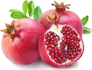 Pomegranate Seeds for Planting Punica Granatum home orchard fruit garden
