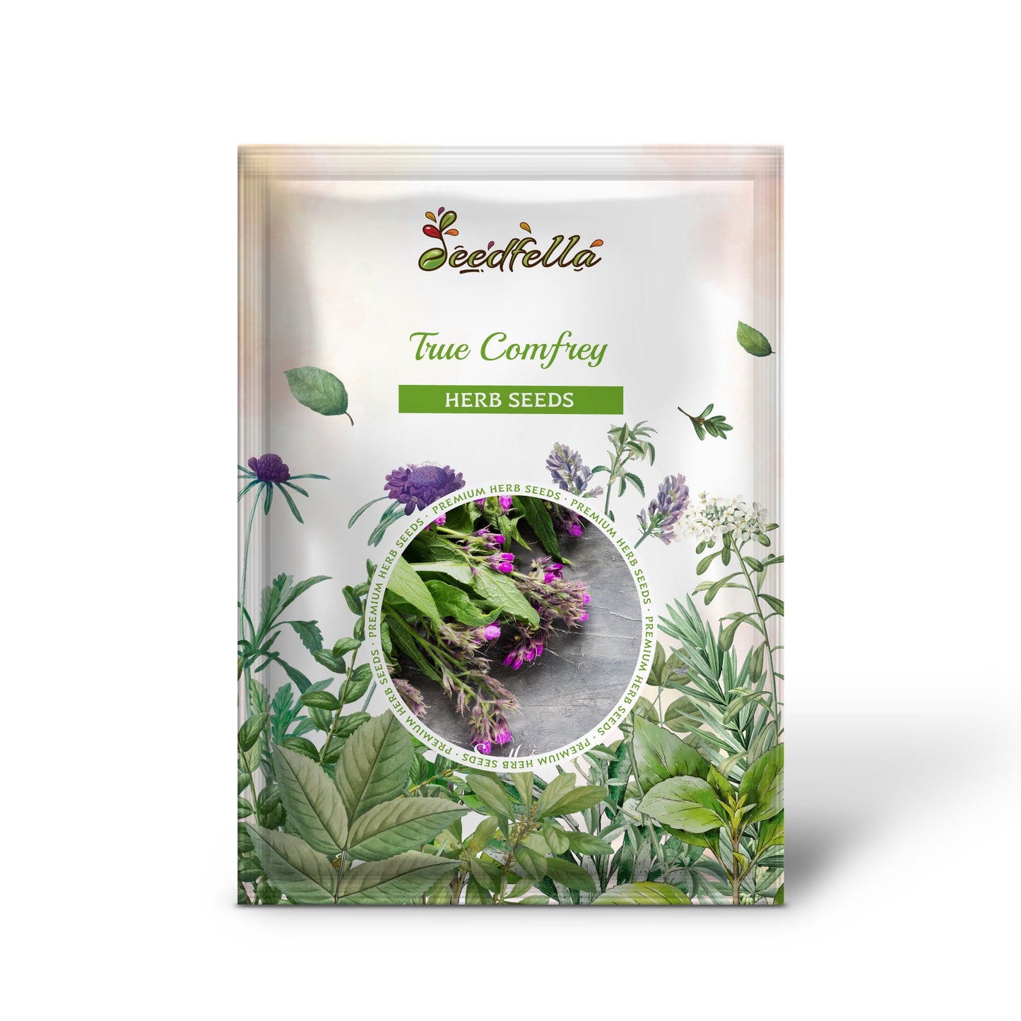 True Comfrey (Symphytum officinale) Herb Seeds - Purple Flowers