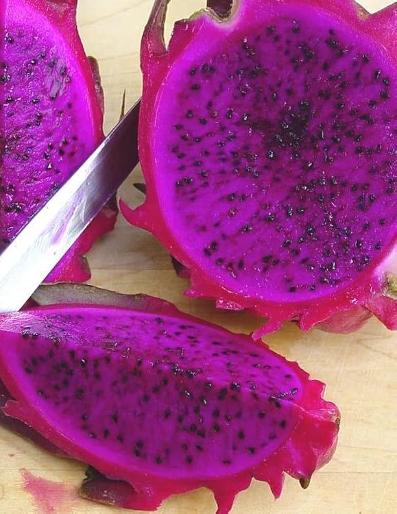 Purple Dragon Fruit (Pitaya / Pitahaya / Strawberry Pear) Hylocereus Undatus Cactus Seeds