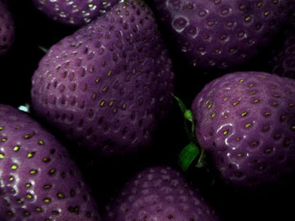 Purple Strawberry Seeds for Planting