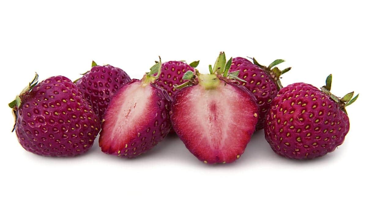pink strawberry seeds Purple Strawberry Seeds For Planting Organic Garden Seeds – Pure Asia Seeds