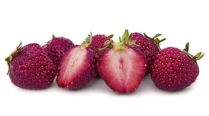Purple Strawberry Seeds for Planting