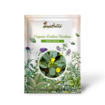 Organic Golden Purslane (Portulaca sativa) Vegetable Herb Yellow Flower Seeds