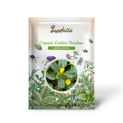 Organic Golden Purslane (Portulaca sativa) Vegetable Herb Yellow Flower Seeds