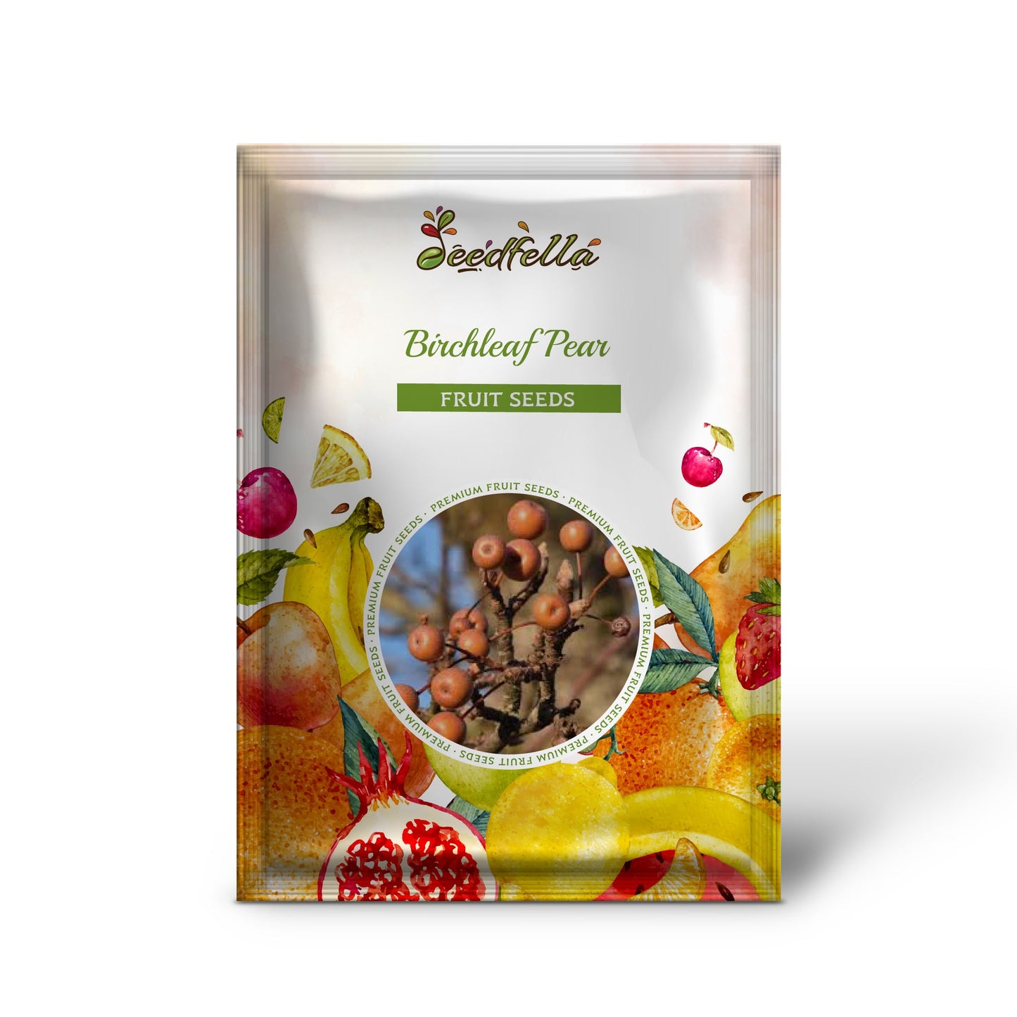 Birchleaf Pear (Pyrus betulifolia) Seeds
