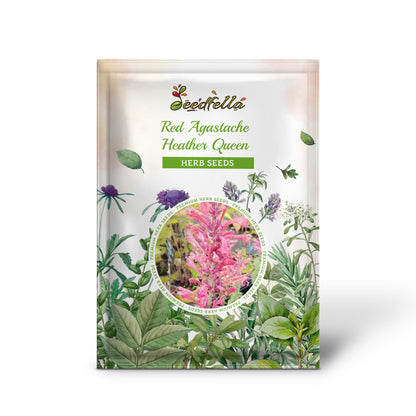 Red Agastache Heather Queen (Hummingbird Mint / Hyssop) Flower Herb Seeds