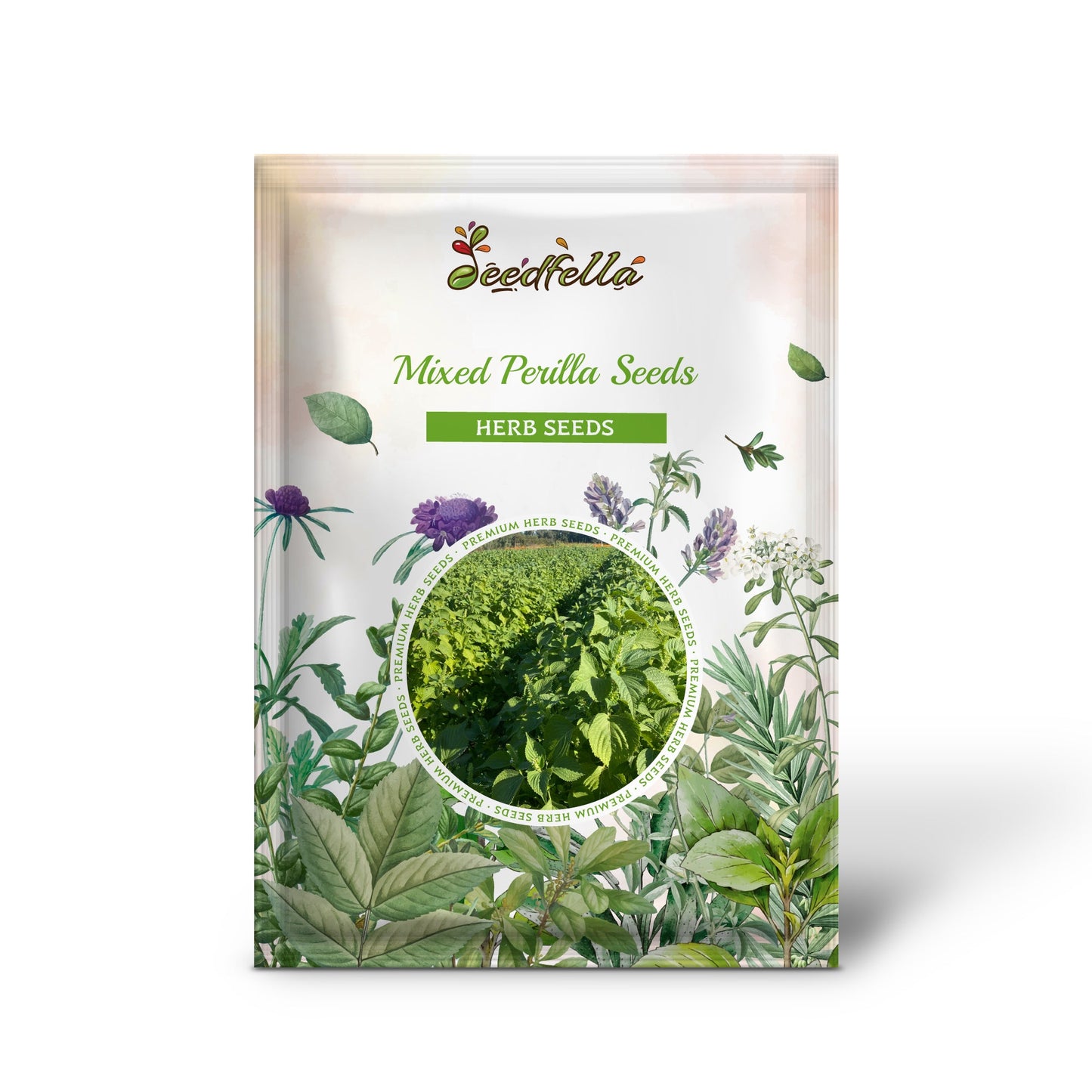 planting perilla seeds Mixed Perilla Seeds For Planting Organic Garden Seeds – Pure Asia Seeds