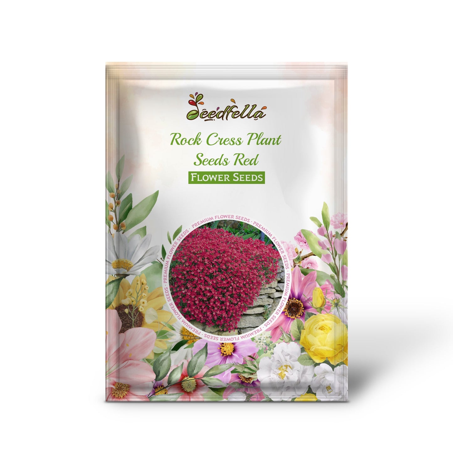 Red Aubrieta Rock Cress seeds for spring gardens