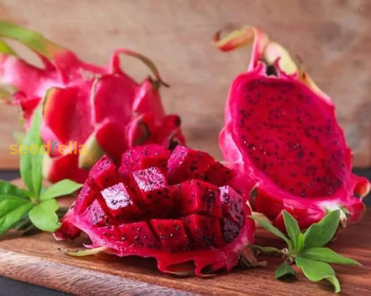 Red Dragon Fruit Seeds For Planting Grow Tropical Dragon Fruit Plants In Your Garden heirloom non-gmo organic garden seeds