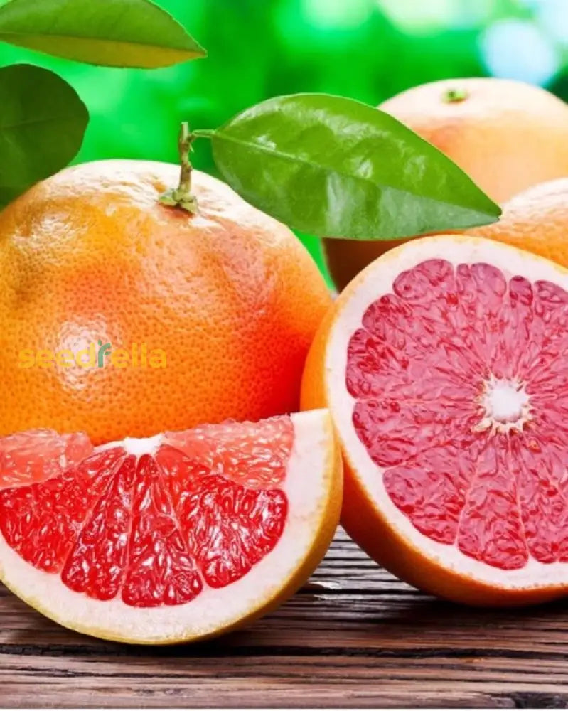 Red Grapefruit Seeds For Planting Grow Delicious Citrus Fruits At Home heirloom non-gmo organic garden seeds