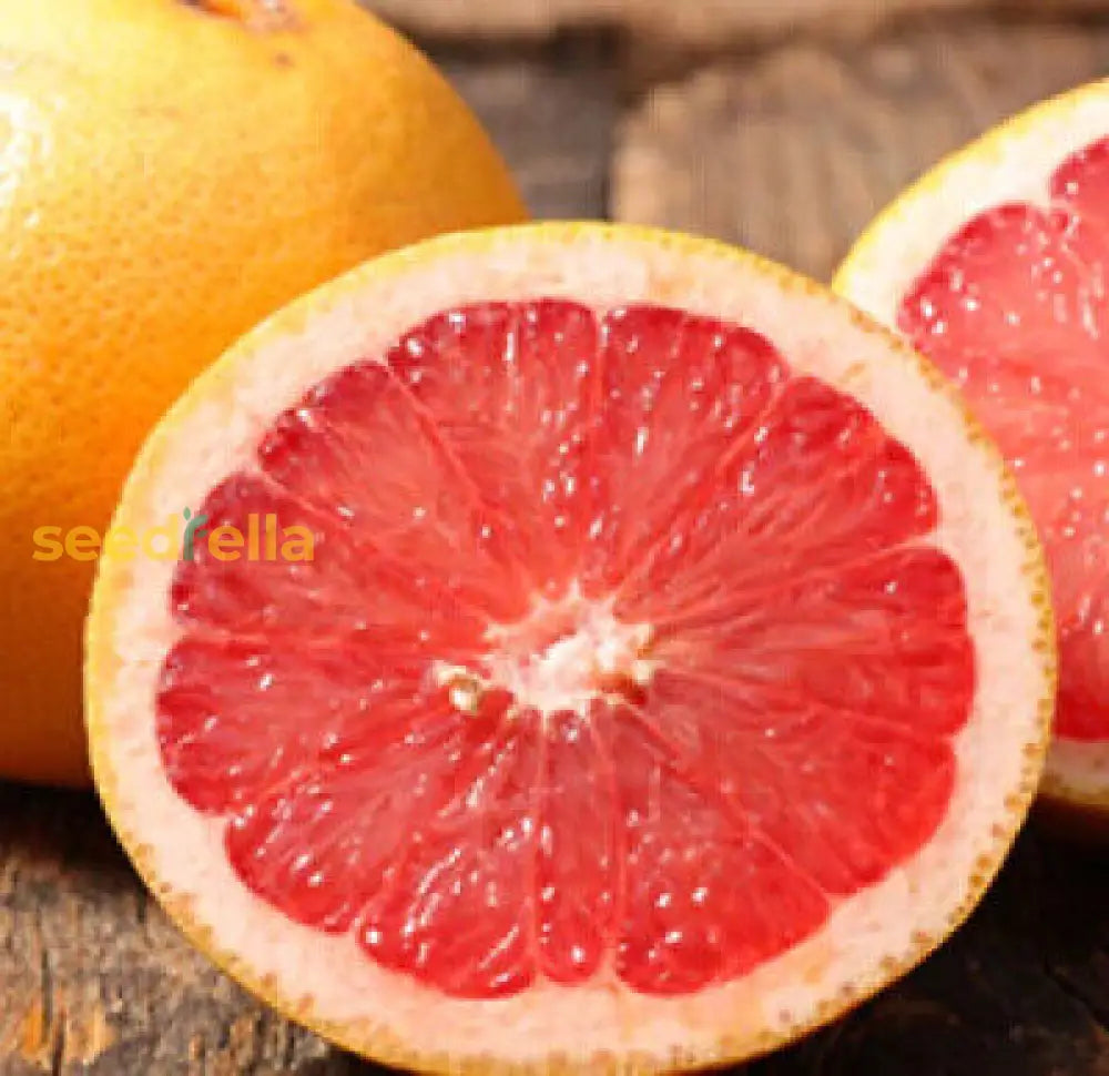 Red Sweet Grapefruit Fruit Seeds Easy Planting For Fresh Citrus heirloom non-gmo organic garden seeds