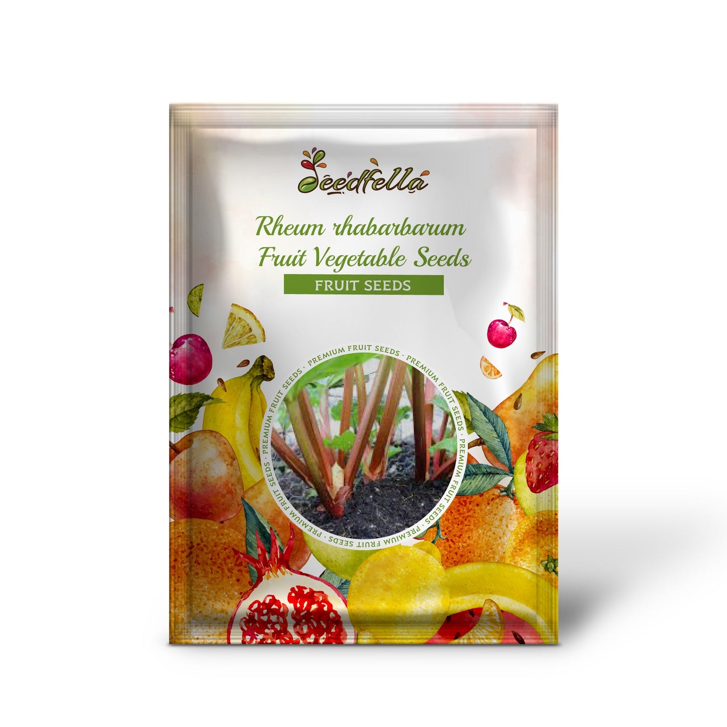 Glaskins Perpetual Rhubarb (Pieplant) Rheum rhabarbarum Fruit Vegetable Seeds