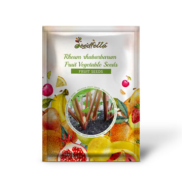 Glaskins Perpetual Rhubarb (Pieplant) Rheum rhabarbarum Fruit Vegetable Seeds