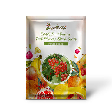 Red Wax Currant (Ribes cereum) Edible Fruit Berries - Pink Flowers Shrub Seeds