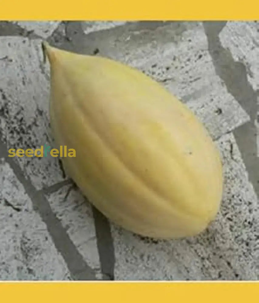 Gold Banana Melon Seeds for Planting Premium Fruit Seeds