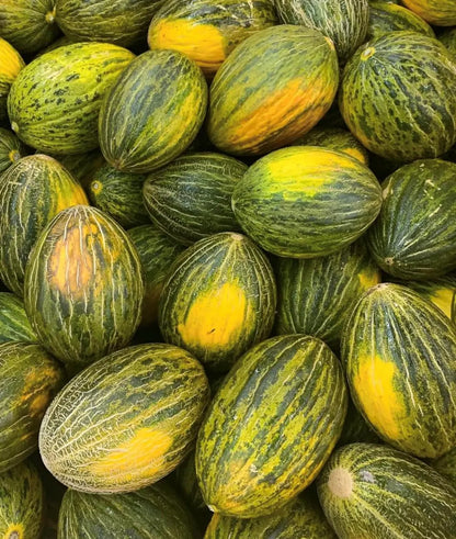 Green Toadskin Melon Seeds for Planting - Heirloom Fruit Variety