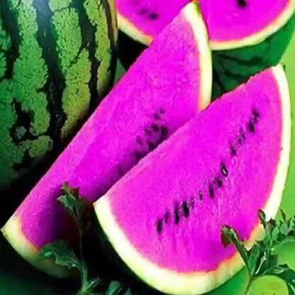 Pink Watermelon Seeds Planting Guide