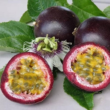Purple Passion Fruit Seeds – Sweet, Tangy Fruit for Vine Gardens