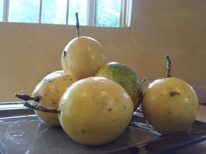 Yellow Maracuja Fruit Seeds Planting