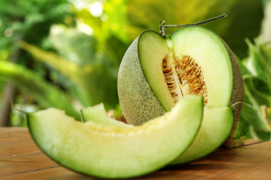 Green Flesh Rocky Ford Cantaloupe Cucumis Melo Melon Fruit Seeds heirloom non-gmo organic garden seeds