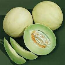 Green Flesh Rocky Ford Cantaloupe (Cucumis Melo) Melon Fruit Seeds