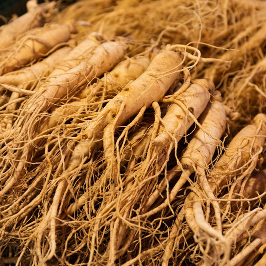 Semi di erba di ginseng coreano