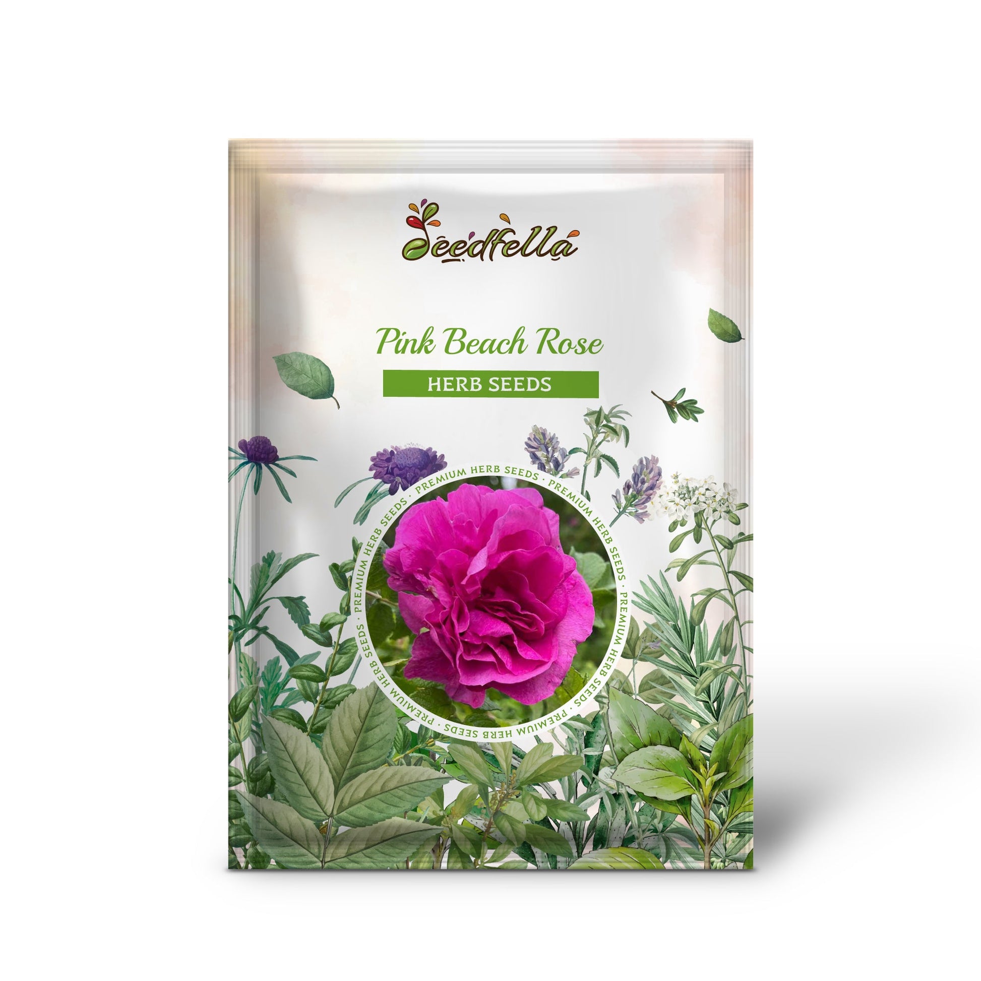 rosa rugosa seeds Pink Beach Rose Rosa Rugosa Seaside Or Sand Rose, Huge Red Hips Flower Seeds Organic Garden Seeds – Pure Asia Seeds
