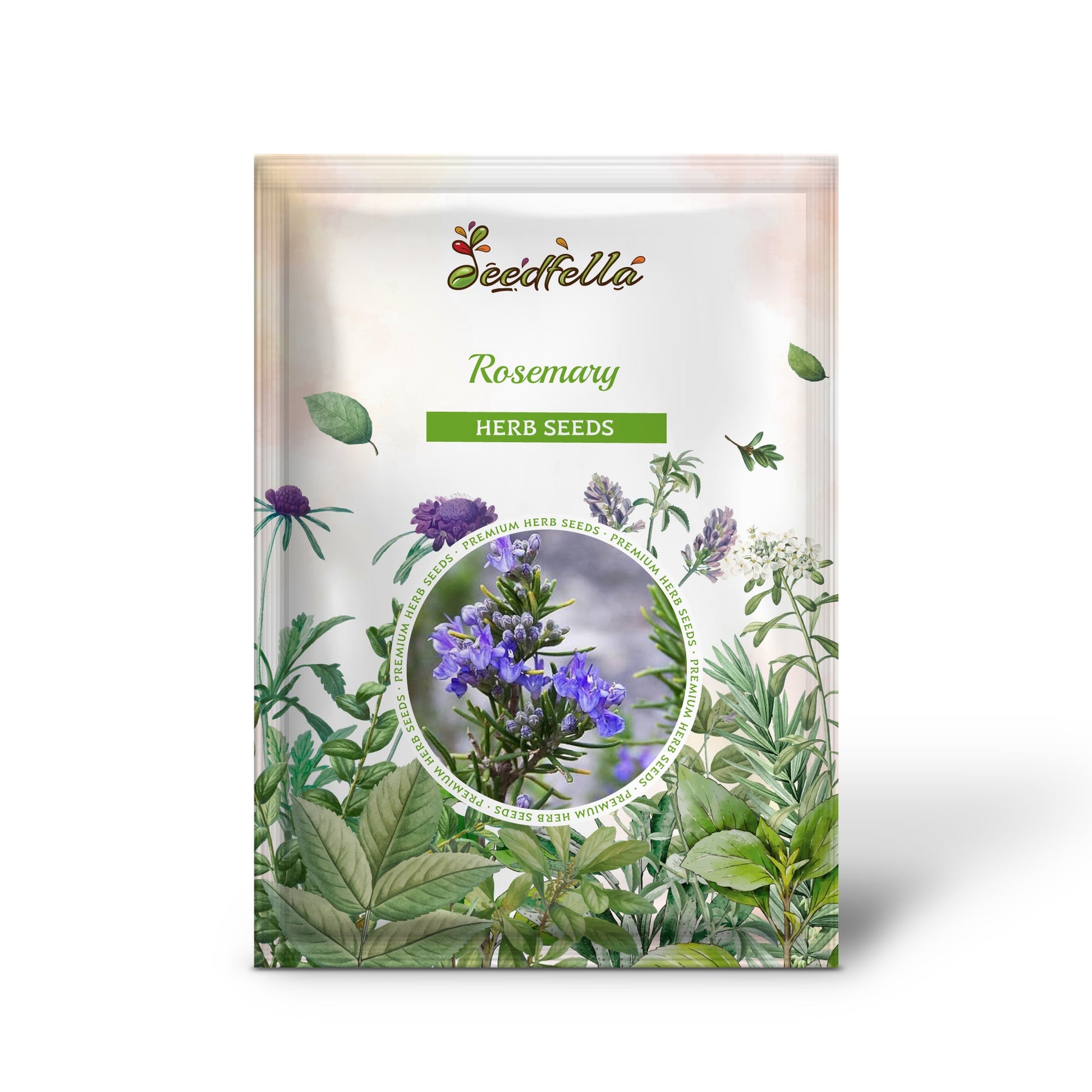 rosemary plant seeds Rosemary Rosmarinus Officinalis Herb Flower Seeds Organic Garden Seeds – Pure Asia Seeds