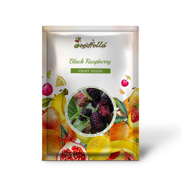 Black Raspberry (Rubus occidentalis) Seeds