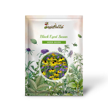 Black Eyed Susan (Rudbeckia hirta) Yellow Heirloom Native Flower Seeds