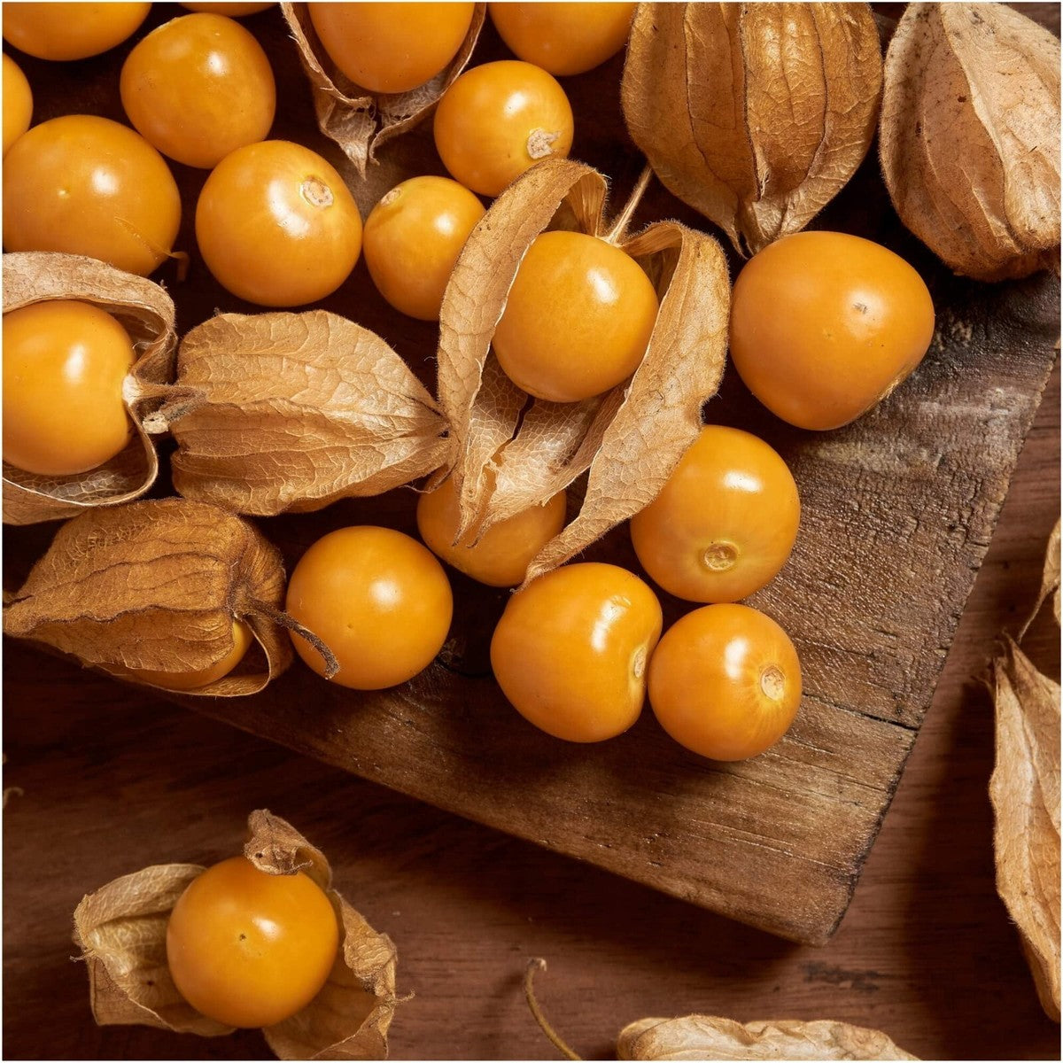 Kapstachelbeere Fruchtsamen