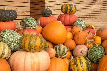 Semi miste di zucca e verdure