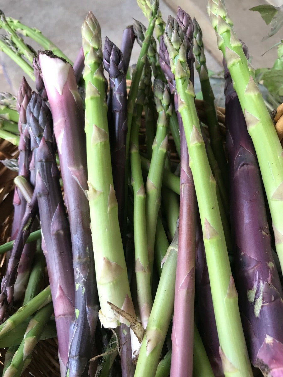 パープルパッション アスパラガス 野菜の種 – Pure Asia Seeds