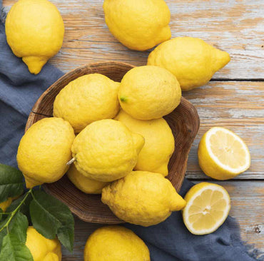 Semi di frutta di limone Meyer