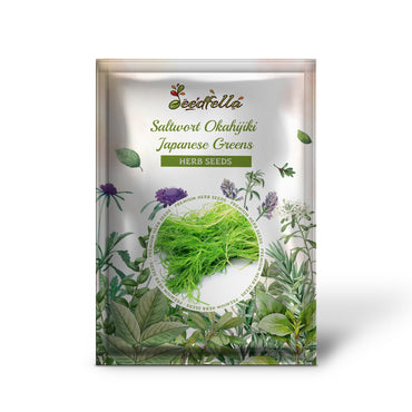 Saltwort Okahijiki Japanese Greens (Salsola komarovii) Leaf Vegetable Seeds