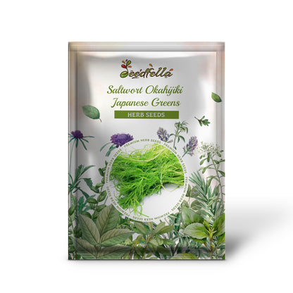 Saltwort Okahijiki Japanese Greens (Salsola komarovii) Leaf Vegetable Seeds