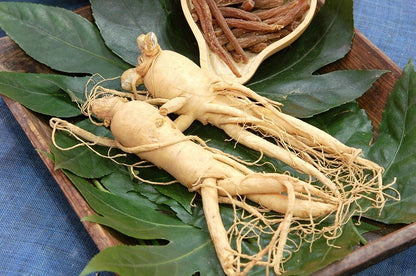 Semi di erba di ginseng coreano