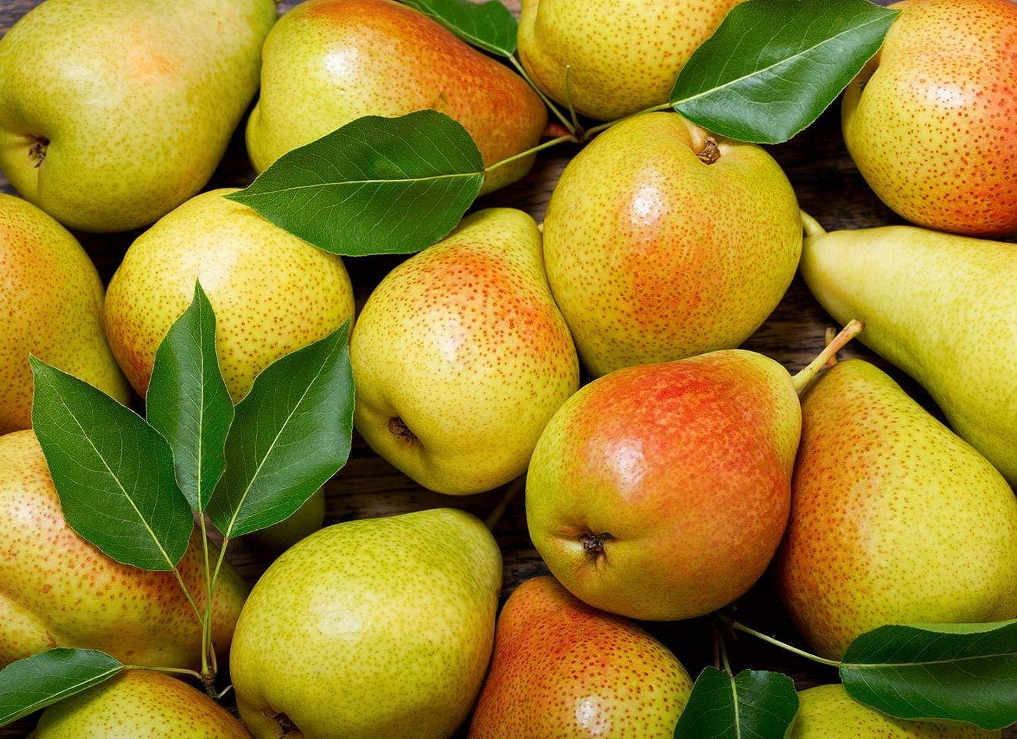 Sand Pear Pyrus pyrifolia Seeds for Planting in Home Orchard and Farm Garden