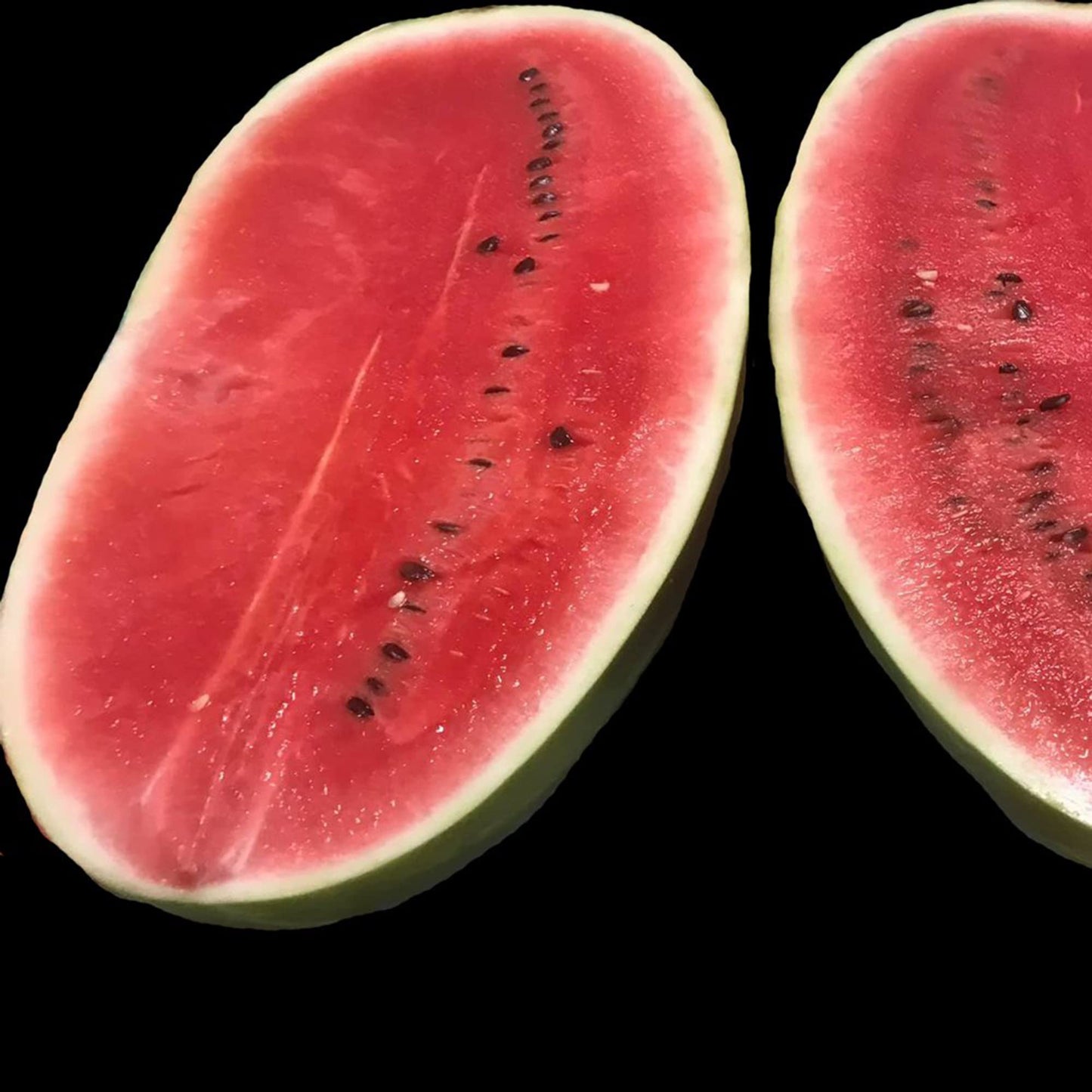 Sangria Hybrid Citrullus Lanatus Watermelon Seeds