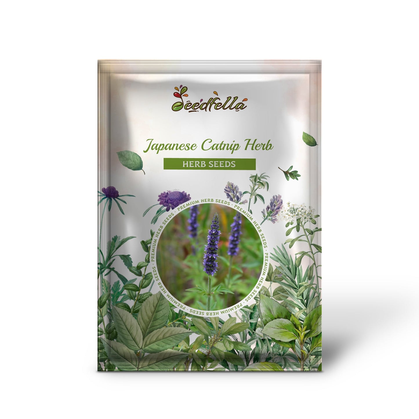 Japanese Catnip Herb (Schizonepeta tenuifolia) Purple Flower Seeds