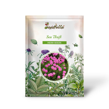 Sea Thrift (Armeria maritima) California Sea Pink, Cliff Rose, Cushion Pink, Lavender Native Maritime Flower Seeds