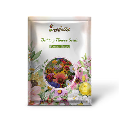 Seasonal Bloom Mix Flowers in Full Color