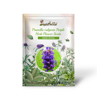 Heal All (Self Heal) Prunella vulgaris Purple Herb Flower Seeds
