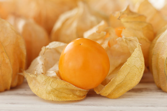 Peruvian Ground Cherry Physalis Peruviana Cape Gooseberry Fruit & Veggie Seeds heirloom non-gmo organic garden seeds
