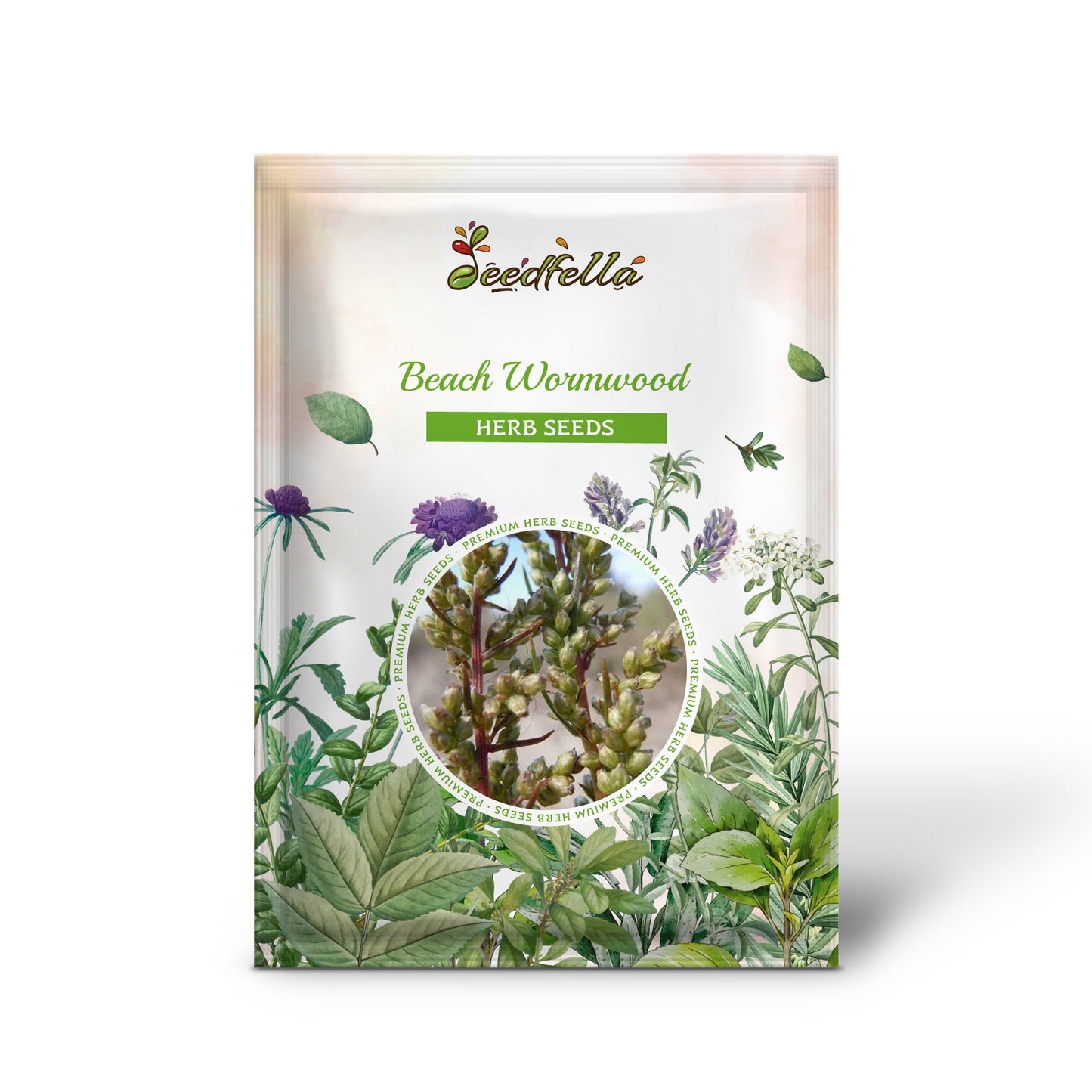 Beach Wormwood (Artemisia caudata) Silvermound Red Sagewort Herb Flower Seeds