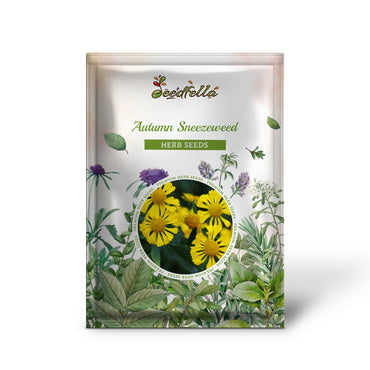 Autumn Sneezeweed (Dogtooth Daisy / Helen's Flower / Bittersweet) Helenium autumnale Flower Seeds