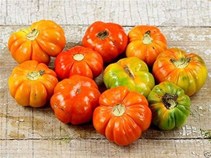Ruffled Red Eggplant 'Pumpkin on a Stick' (Solanum melongena) Seeds – Edible & Ornamental